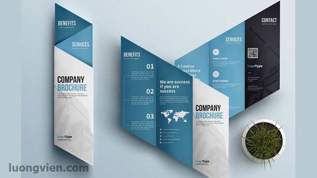 Màu sắc của Brochure hài hòa, bắt mắt