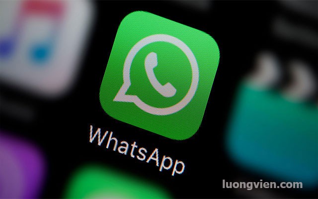 Kênh Social Media Whatsapp